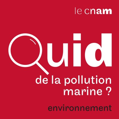 Quid de la pollution marine